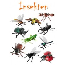 Insekten