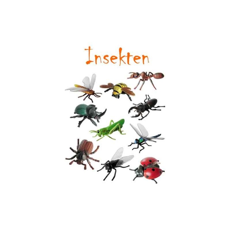 Insekten