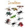 insects