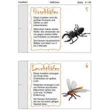 Insekten