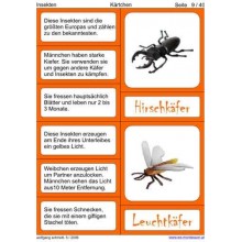 Insekten