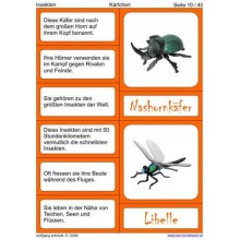 insects
