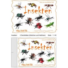 insects