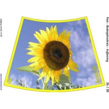 Annual circle for floor with photos 105cm