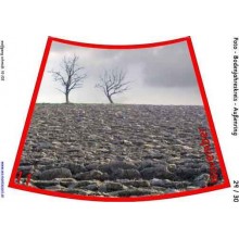 Ročný cyklus pre podlahu s fotografiami 105cm