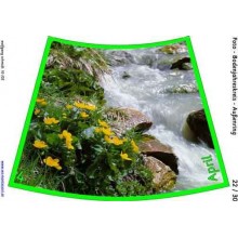 Ročný cyklus pre podlahu s fotografiami 105cm