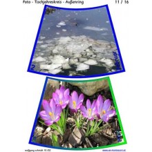 Annual circle for table with photos 75cm