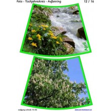 Jahreskreis für Tisch mit Fotos 75cm