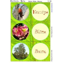 Gaštanový materiál