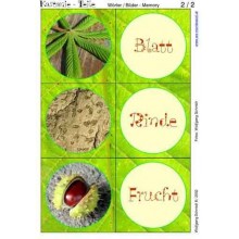 Gaštanový materiál