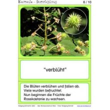 Gaštanový materiál