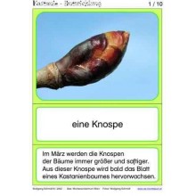 Gaštanový materiál