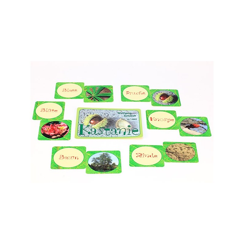 Gaštanový materiál