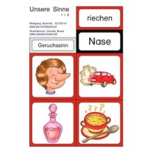 Körper, Pflege, Sinne