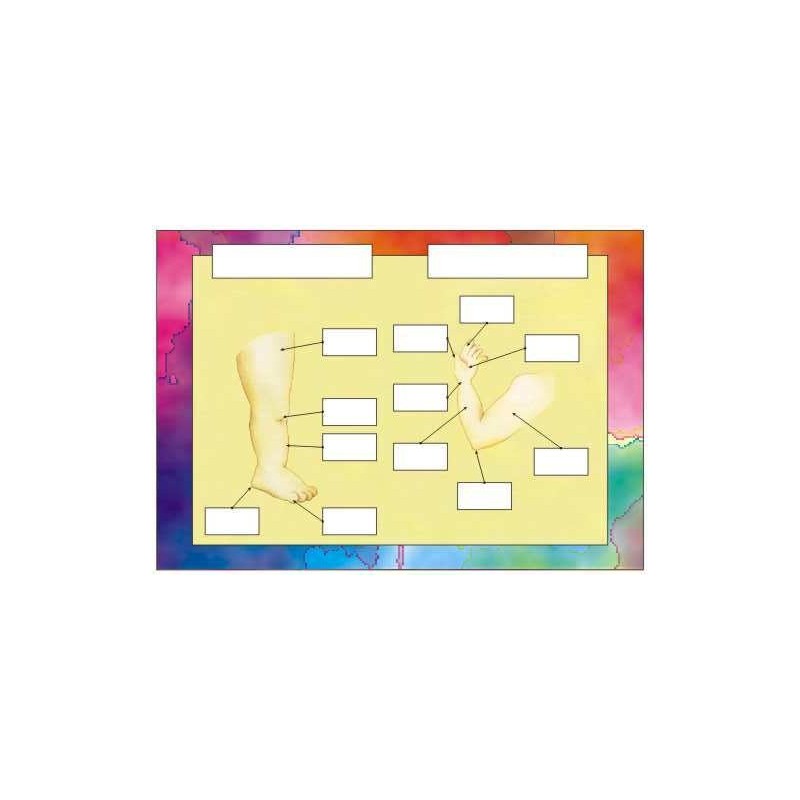 Telo, starostlivosť, zmysly