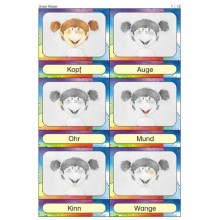 Körper, Pflege, Sinne