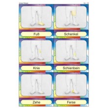 Körper, Pflege, Sinne