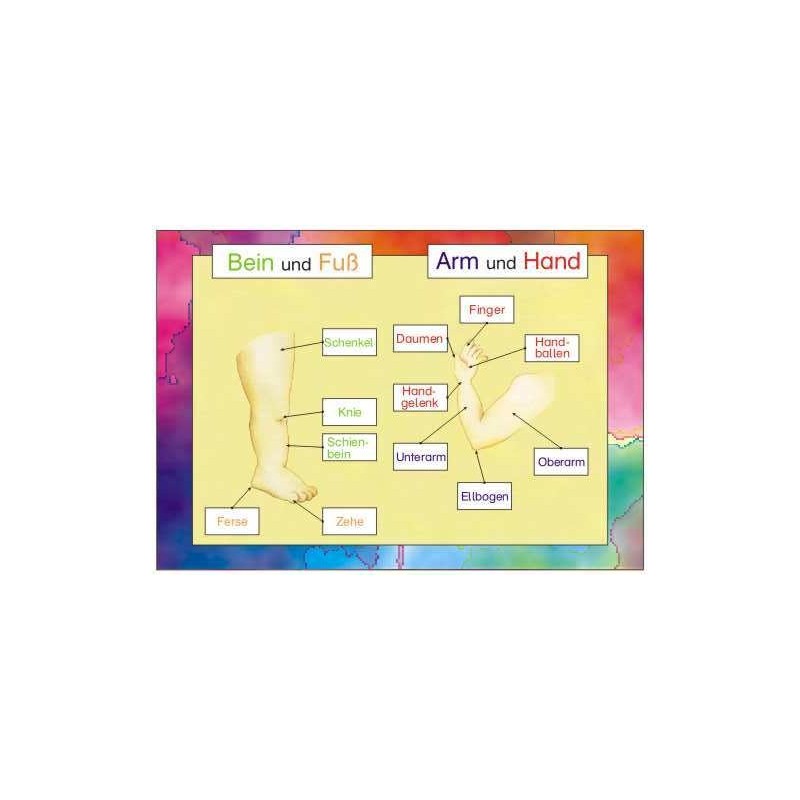 Telo, starostlivosť, zmysly