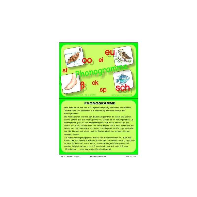 Lesematerial: Phonogramme