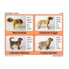 Material for dog models by Schleich