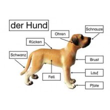 Material z.d. Hundemodellen v.Schleich