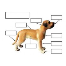 Material for dog models by Schleich