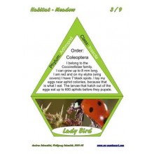 Meadow (This article is also available in German)