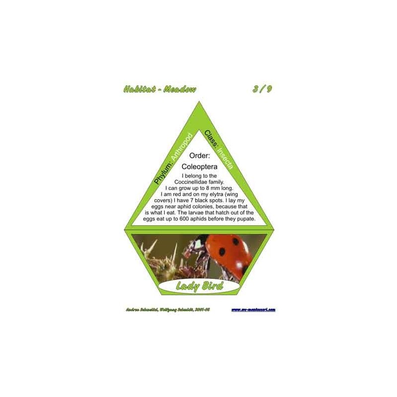 Meadow (This article is also available in German)