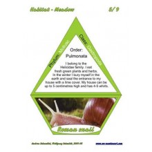 Lúka (Tento článok je k dispozícii aj v nemčine).