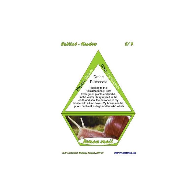 Meadow (Dieser Artikel ist auch in deutsch erhältlich)