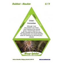 Meadow (Dieser Artikel ist auch in deutsch erhältlich)