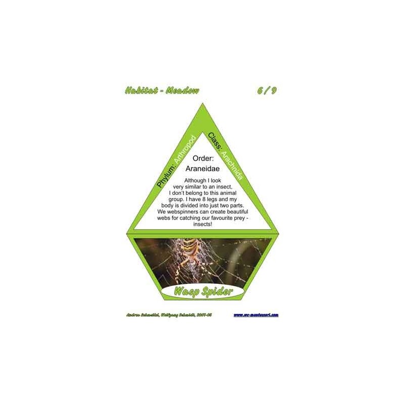 Meadow (This article is also available in German)