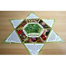 Meadow (Dieser Artikel ist auch in deutsch erhältlich)