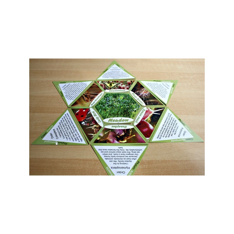 Meadow (Dieser Artikel ist auch in deutsch erhältlich)