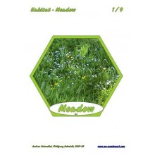 Meadow (Dieser Artikel ist auch in deutsch erhältlich)
