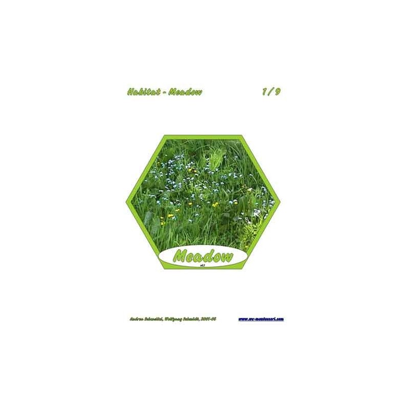 Meadow (This article is also available in German)