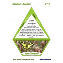 Meadow (Dieser Artikel ist auch in deutsch erhältlich)