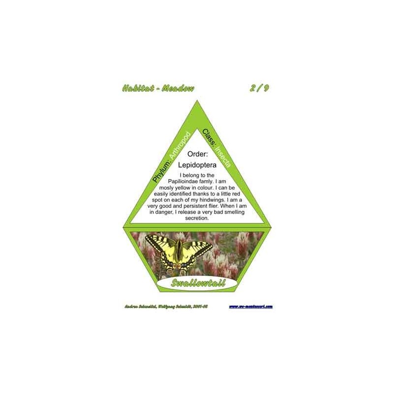 Meadow (This article is also available in German)