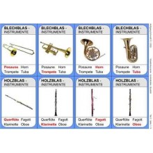 Musical instruments from all over the world