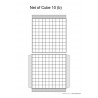 Nets of Cubes