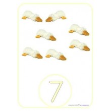 Number Games	 (Dieser Artikel ist auch in deutsch erhältlich)