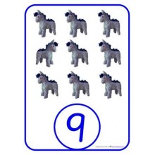 Number Games	 (Dieser Artikel ist auch in deutsch erhältlich)