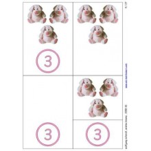 Number Games	 (Dieser Artikel ist auch in deutsch erhältlich)