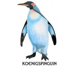 Penguin parade