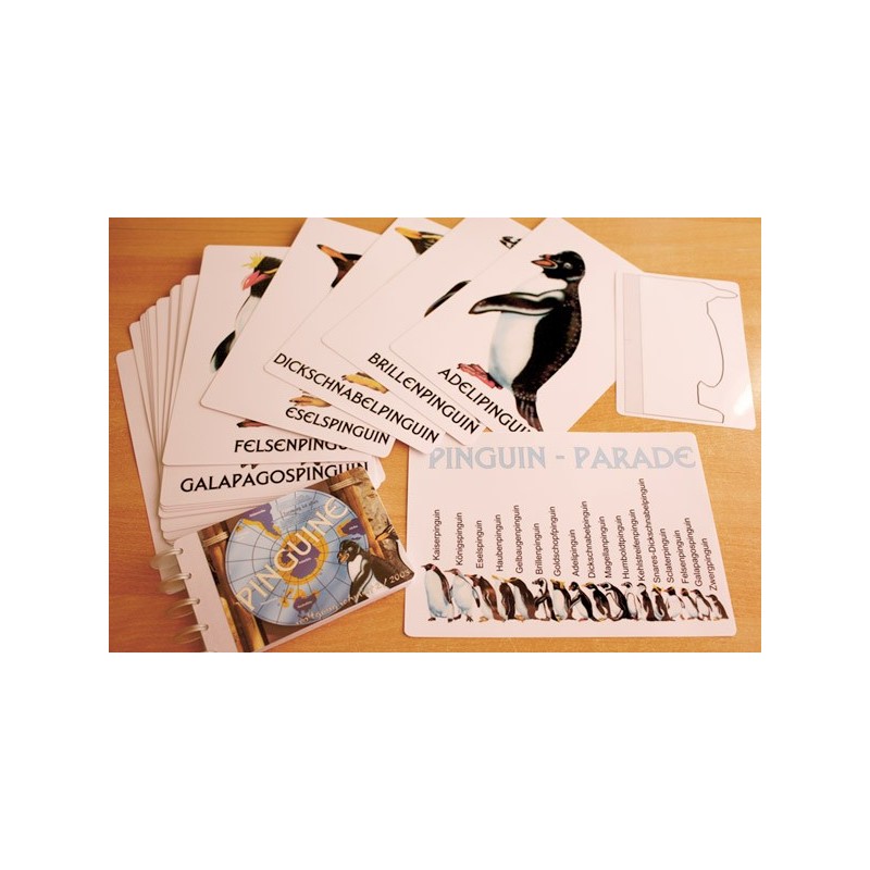 Prehliadka tučniakov