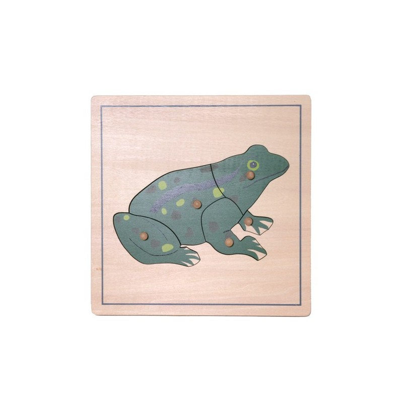 Puzzle Frog Puzzle Frog