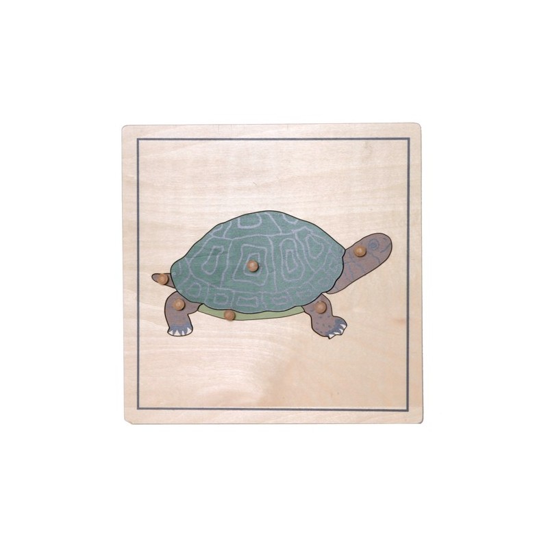 Puzzle Turtle