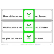 Prepositions: Am Ententeich, adj. Blue