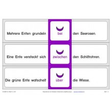 Präpositionen: Am Ententeich, Adj. braun