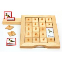 Sliding and revealing game deposits - dinosaurs